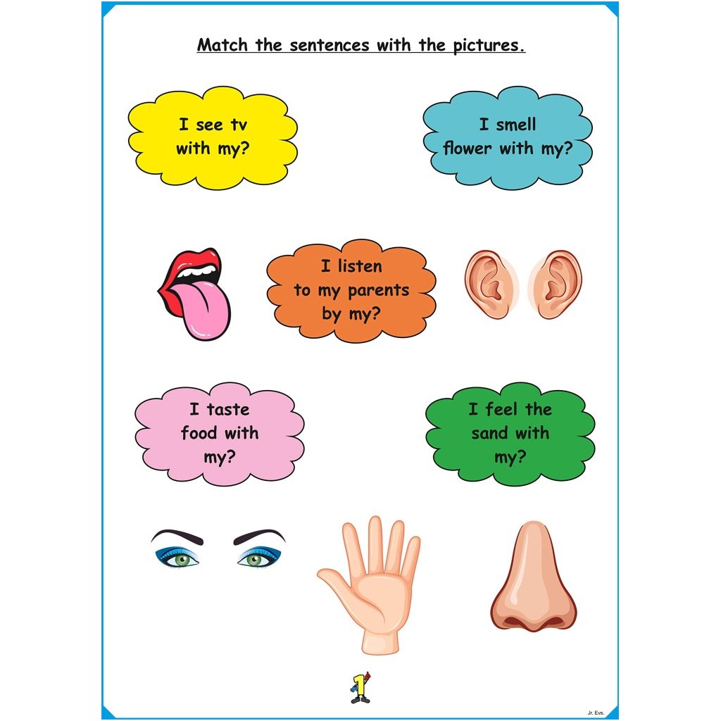 Actonn Magical Learning ReWritable Buddy Jr. KG EVS. India's